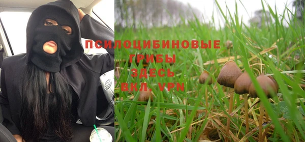 spice Киренск