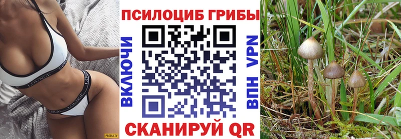 Псилоцибиновые грибы Psilocybine cubensis  Купить где  Бронницы 